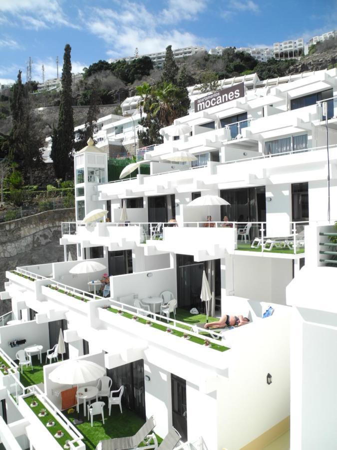 Apartment Mocanes